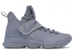 Nike LeBron 14 Silver
