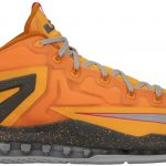 Nike LeBron 11 Low Floridian