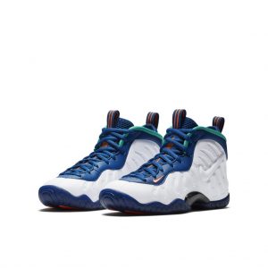 Nike Air Foamposite Pro Gym Blue (GS)