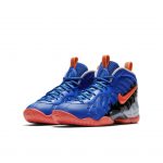 Nike Air Foamposite Pro Nerf (GS)