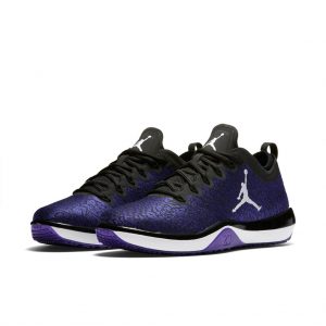 Jordan Trainer 1 Low Concord