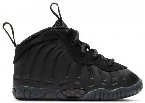 Nike Air Foamposite One Anthracite 2020 (TD)