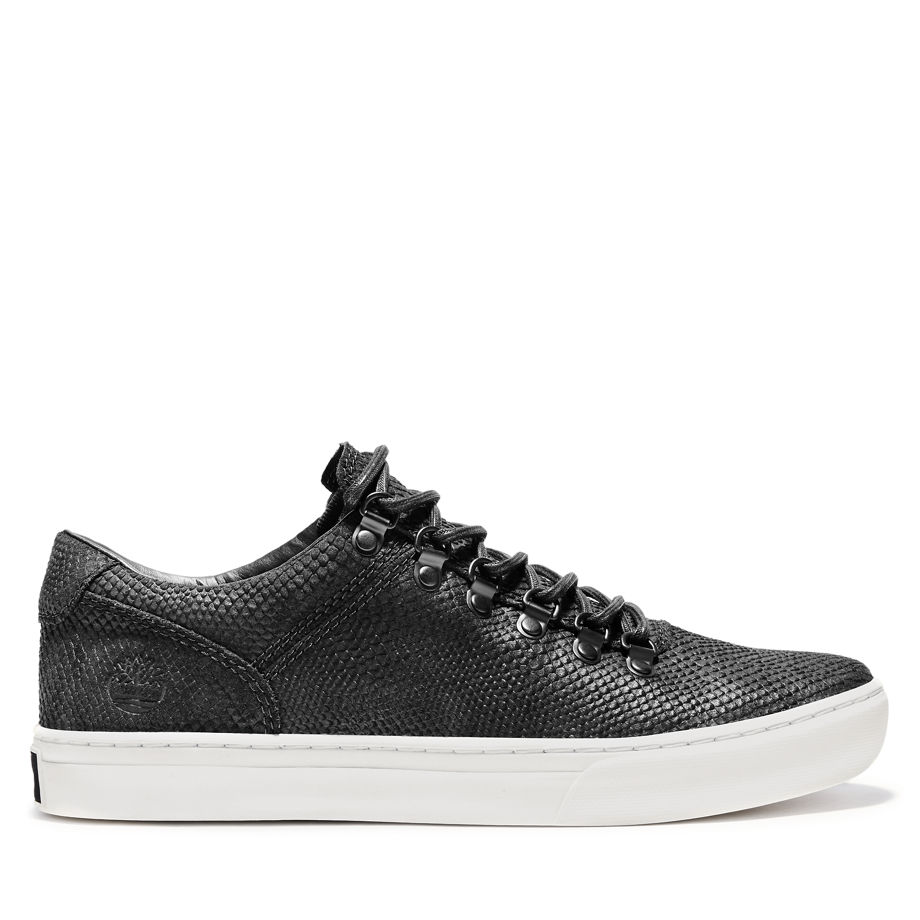 timberland-sneaker A22VS433