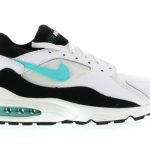 Nike Air Max 93 Dusty Cactus