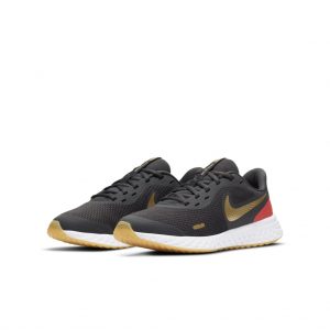 Nike Revolution 5 Grau (BQ5671-016)