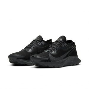 Nike Pegasus Trail 2 GORE-TEX Trail-Laufschuh für Schwarz (CU2016-001)