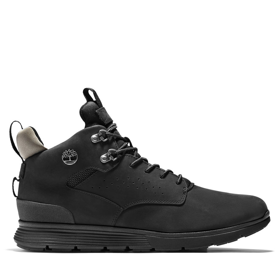 timberland-sneaker A1Z6B001