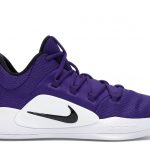 Nike 2018 HyperDunk X Low Court Purple