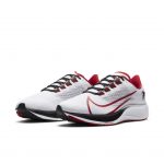 Nike Air Zoom Pegasus 37 Atlanta Falcons