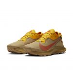 Nike Pegasus Trail 2 GORE-TEX Trail-Laufschuh – Gelb Gelb (DC1933-700)