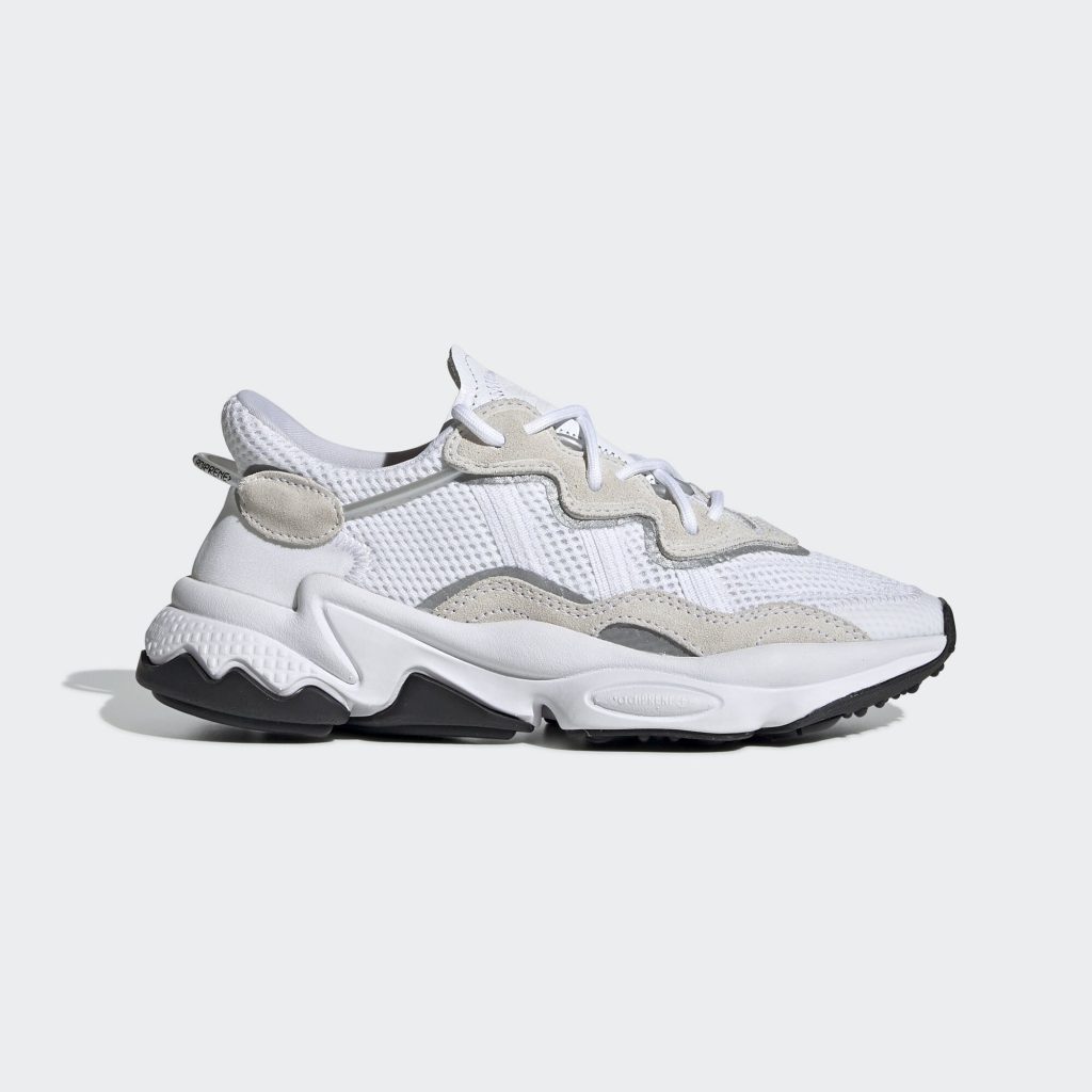 adidas-x-raf-simons-ozweego EFJ45