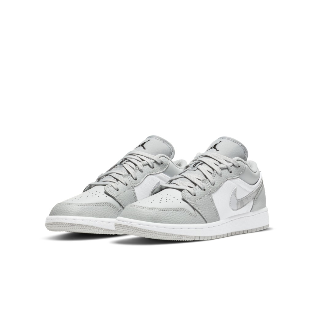 air-jordan-1 DD3234-100
