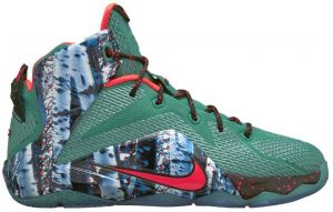 Nike LeBron 12 Akron Birch (GS)