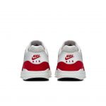 nike-air-max 704993-100
