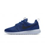 nike-roshe 511881-417
