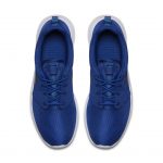 nike-roshe 511881-417