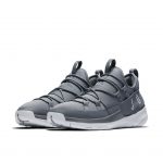 Jordan Trainer Pro Cool Grey / Pure Platinum