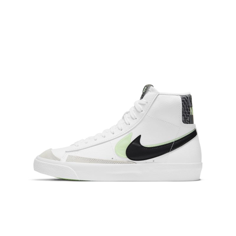 nike-blazer DD1847-100