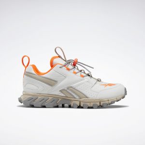 Reebok DMXpert True Grey / Modern Beige / Solar Orange (EG7938)