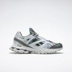 Reebok  DMX Trail Shadow White / Utility Beige / Bottle Green (FX4402)