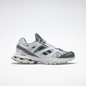 Reebok  DMX Trail Shadow White / Utility Beige / Bottle Green (FX4402)