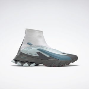 Reebok  DMX Trail Hydrex White / Cold Grey 6 / Tough Blue (FX7656)