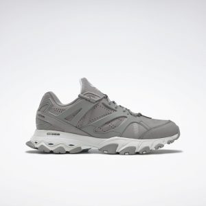Reebok Mountain Research  DMX Trail Shadow Pure Grey 4 / White / Black (FZ4542)