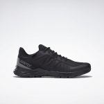 Reebok Astroride Trail GTX 2.0 Core Black / Core Black / Spacer Grey (G58732)