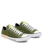 converse-chuck-taylor-all-star 167663C