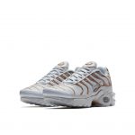Nike Air Max Plus Pure Platinum Metallic Gold (GS)