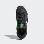 adidas-pro F36940