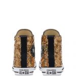 converse-chuck-taylor-all-star 169934C