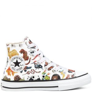Converse Big Kids Science Class Chuck Taylor All Star High Top White, Black White/ Black (668461C)