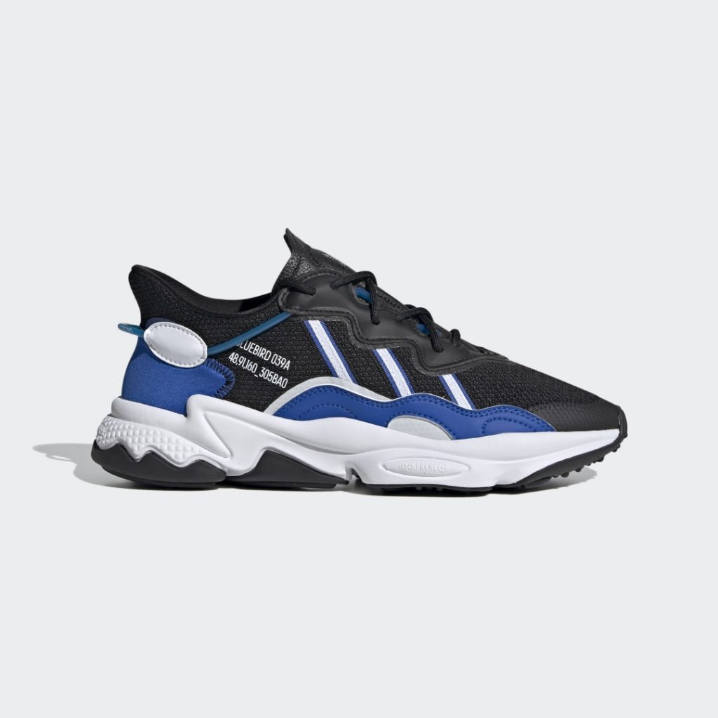 adidas-x-raf-simons-ozweego FX0248