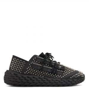Giuseppe Zanotti Urchin (RM00017001)