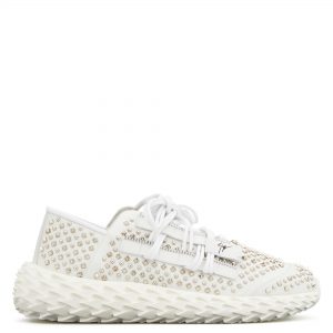 Giuseppe Zanotti Urchin (RM00017002)