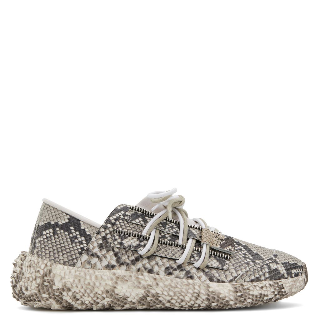 Giuseppe Zanotti Urchin (RM00018001)