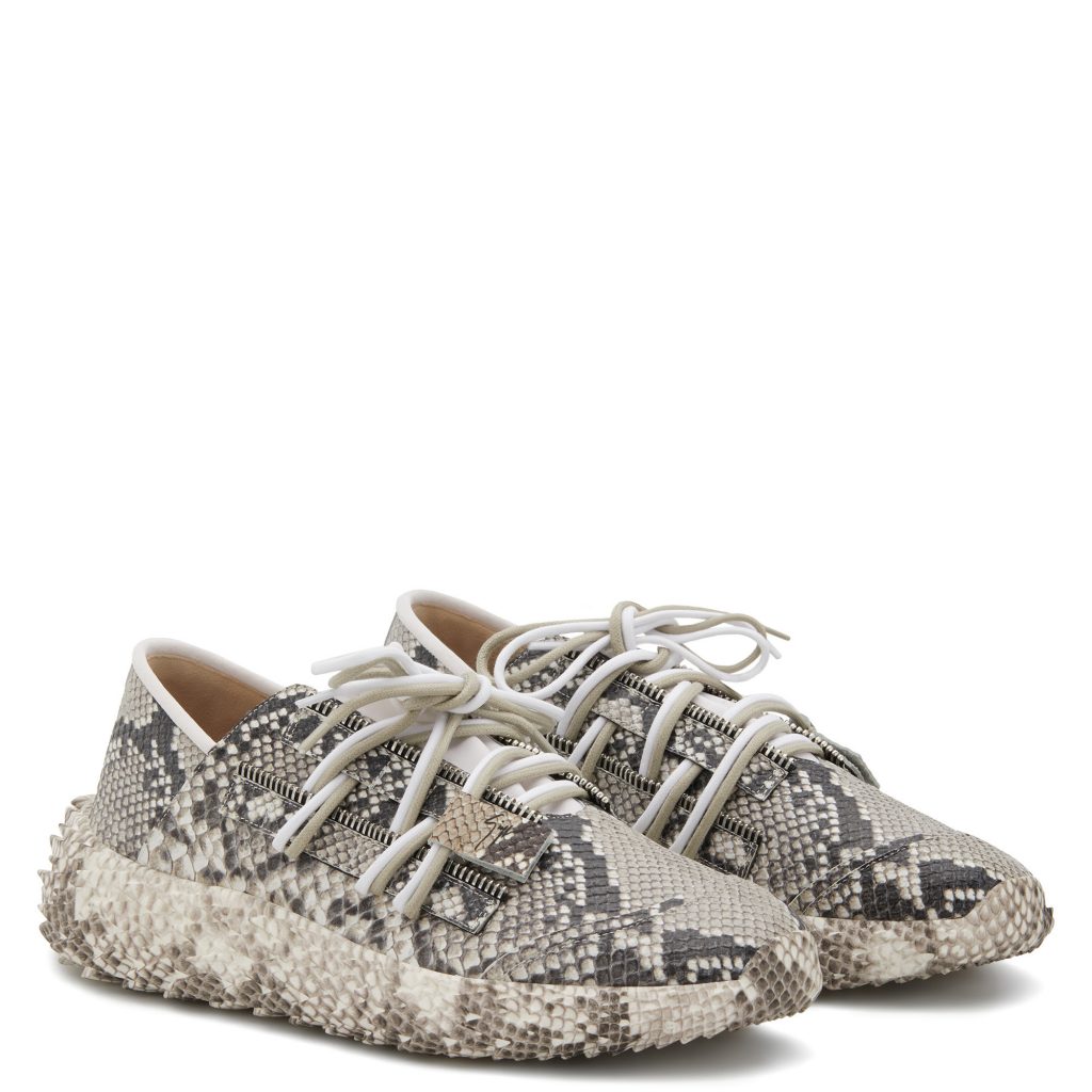 Giuseppe Zanotti Urchin (RM00018001) (2)
