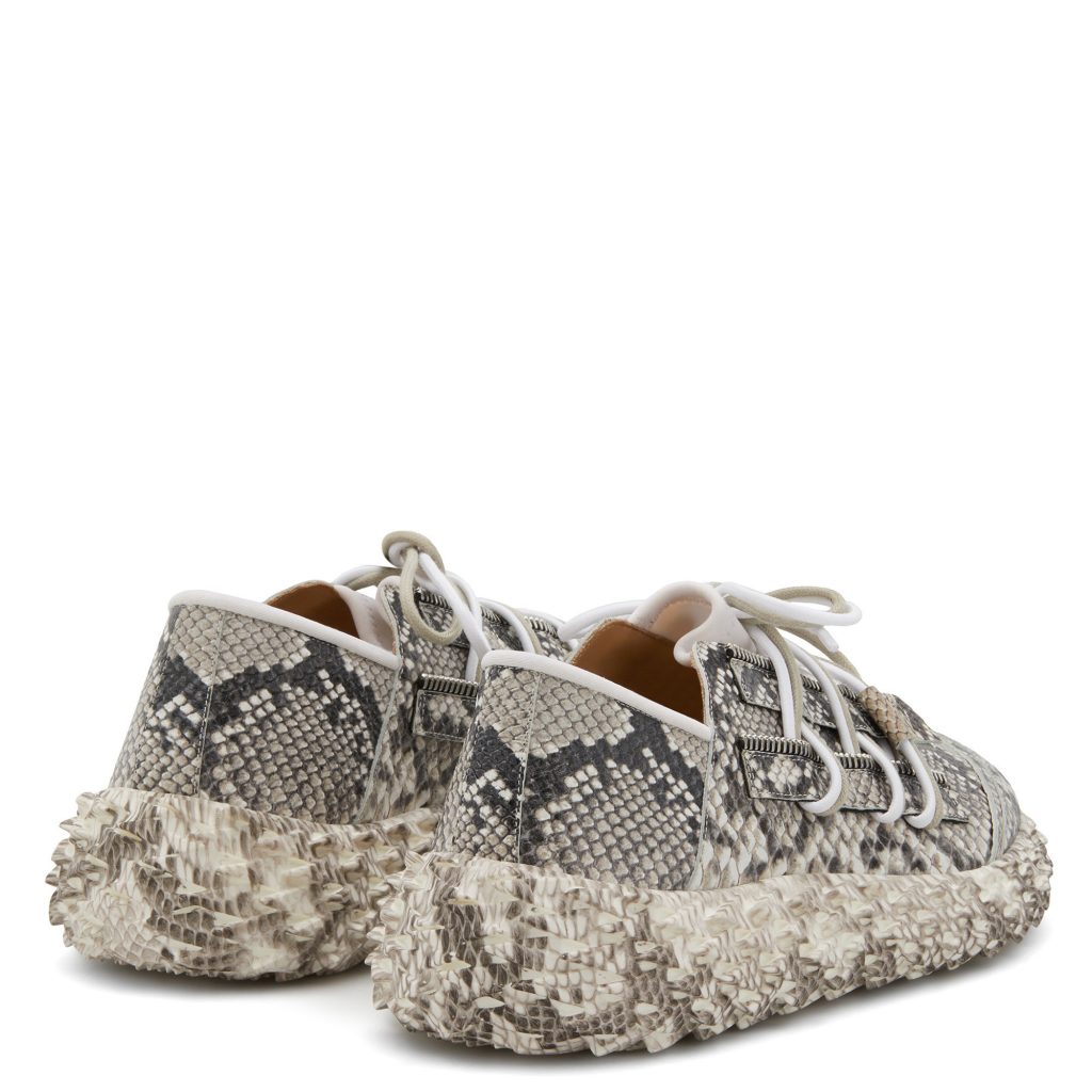 Giuseppe Zanotti Urchin (RM00018001) (3)