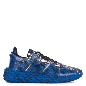 Giuseppe Zanotti Urchin (RM10008002)