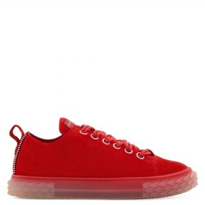 Giuseppe Zanotti Blabber jellyfish (RS00011004)