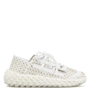Giuseppe Zanotti Urchin (RS00018001)