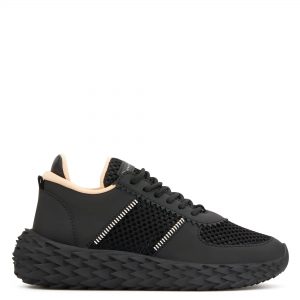 Giuseppe Zanotti Urchin (RS00019001)