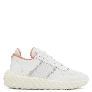 Giuseppe Zanotti Urchin (RS00019002)