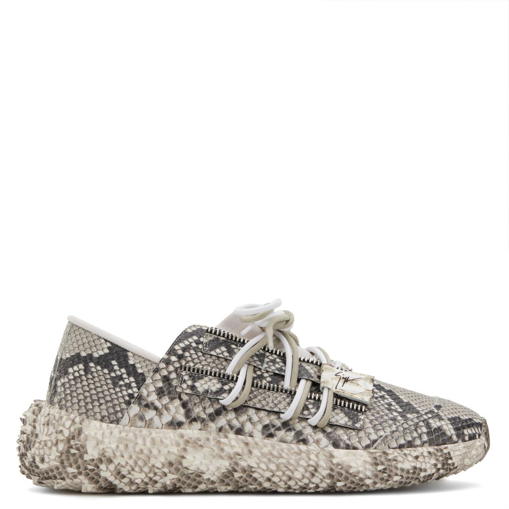 Giuseppe Zanotti Urchin (RS00020001)
