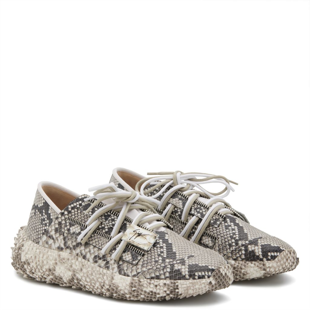 Giuseppe Zanotti Urchin (RS00020001) (2)