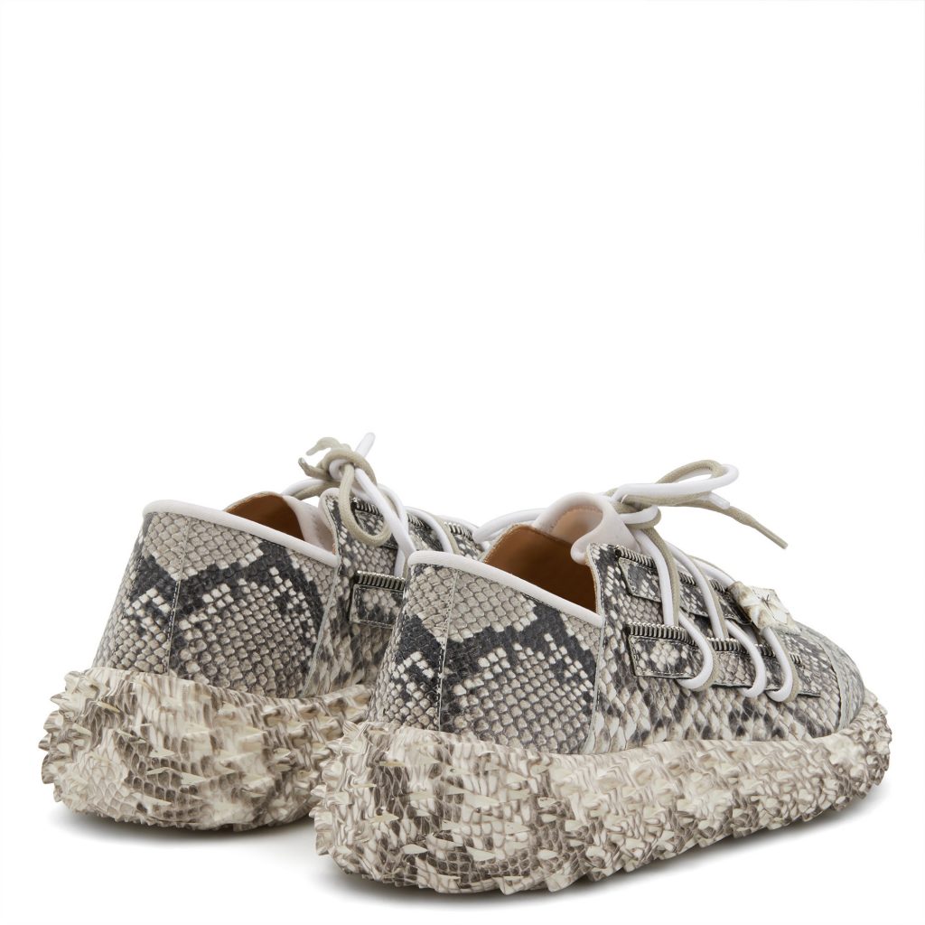 Giuseppe Zanotti Urchin (RS00020001) (3)