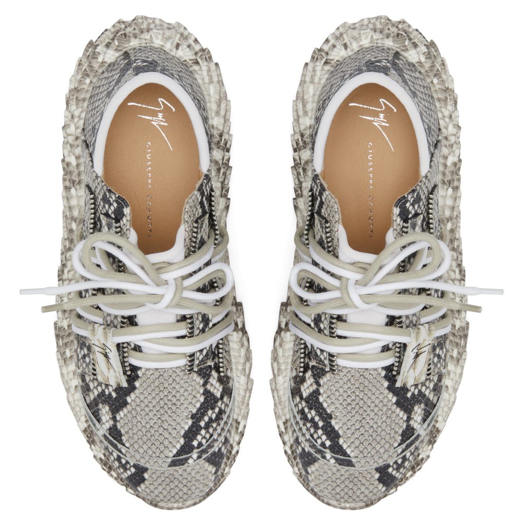 Giuseppe Zanotti Urchin (RS00020001) (4)