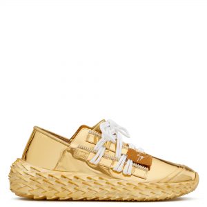 Giuseppe Zanotti Urchin (RS00031001)
