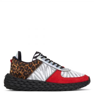 Giuseppe Zanotti Urchin (RU00039001)